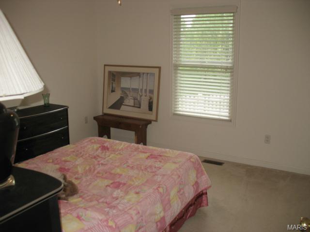 21 Dugout Ct, O'fallon, MO 63366 photo 22