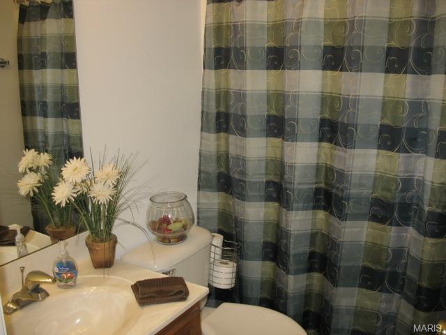 21 Dugout Ct, O'fallon, MO 63366 photo 43