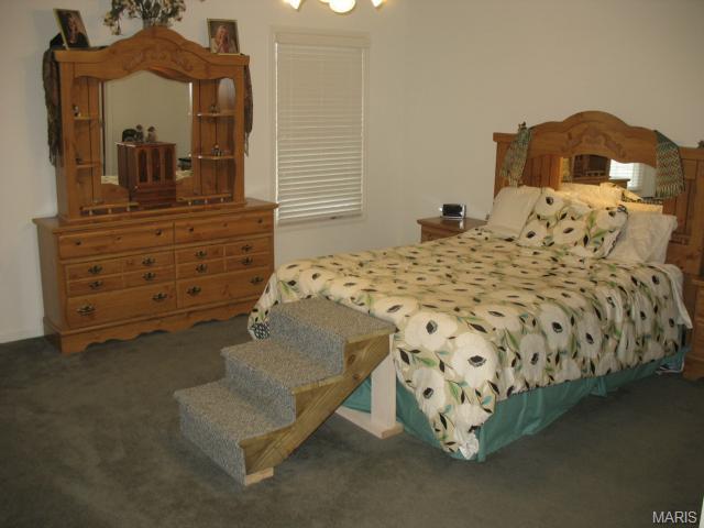 21 Dugout Ct, O'fallon, MO 63366 photo 28
