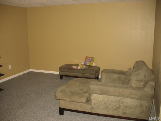 21 Dugout Ct, O'fallon, MO 63366 photo 21