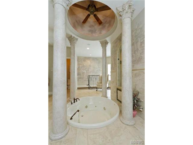 110 Plackemeier Dr, O'fallon, MO 63366 photo 85
