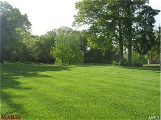 110 Plackemeier Dr, O'fallon, MO 63366 photo 6