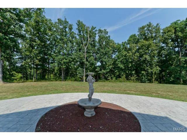 110 Plackemeier Dr, O'fallon, MO 63366 photo 45
