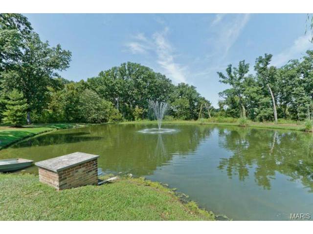 110 Plackemeier Dr, O'fallon, MO 63366 photo 34