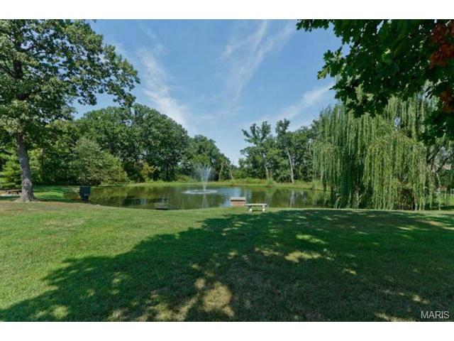 110 Plackemeier Dr, O'fallon, MO 63366 photo 32