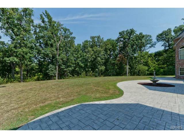 110 Plackemeier Dr, O'fallon, MO 63366 photo 44