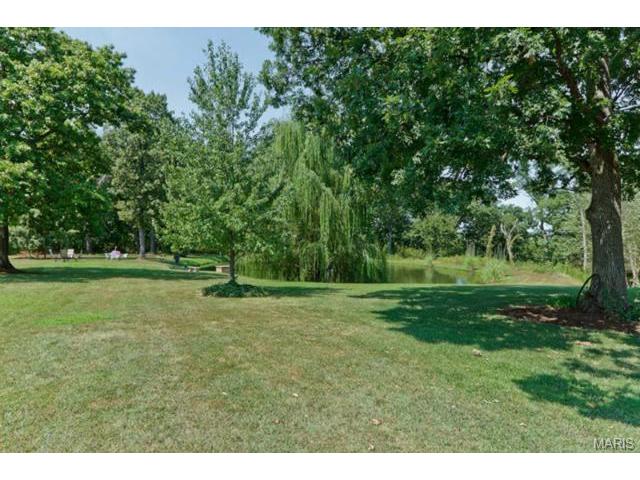 110 Plackemeier Dr, O'fallon, MO 63366 photo 35