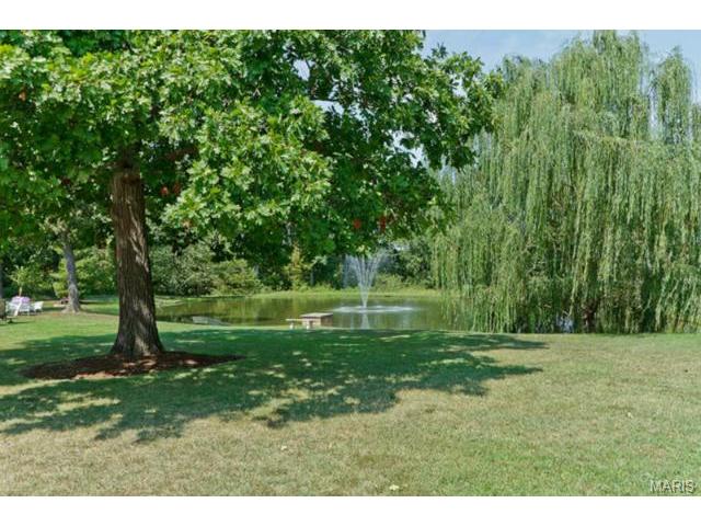 110 Plackemeier Dr, O'fallon, MO 63366 photo 30