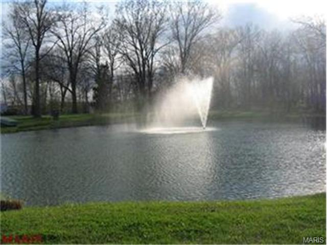110 Plackemeier Dr, O'fallon, MO 63366 photo 5