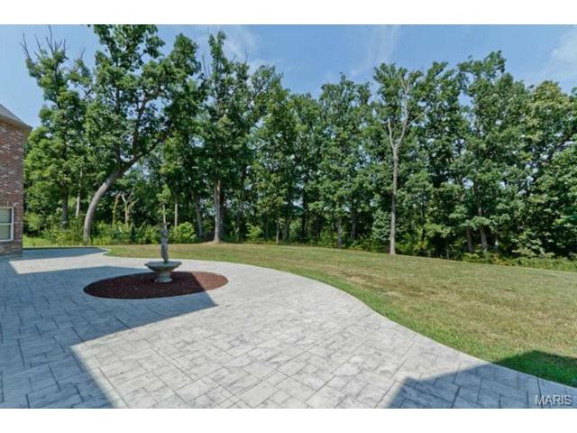 110 Plackemeier Dr, O'fallon, MO 63366 photo 46
