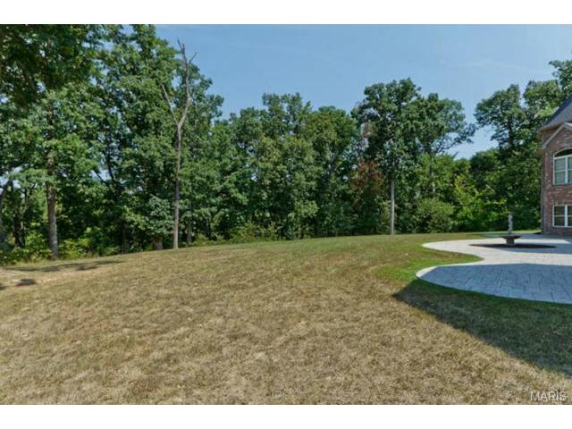 110 Plackemeier Dr, O'fallon, MO 63366 photo 48