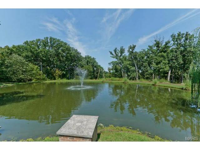 110 Plackemeier Dr, O'fallon, MO 63366 photo 33