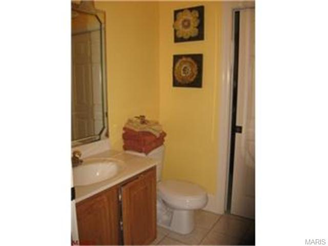 110 Plackemeier Dr, O'fallon, MO 63366 photo 23