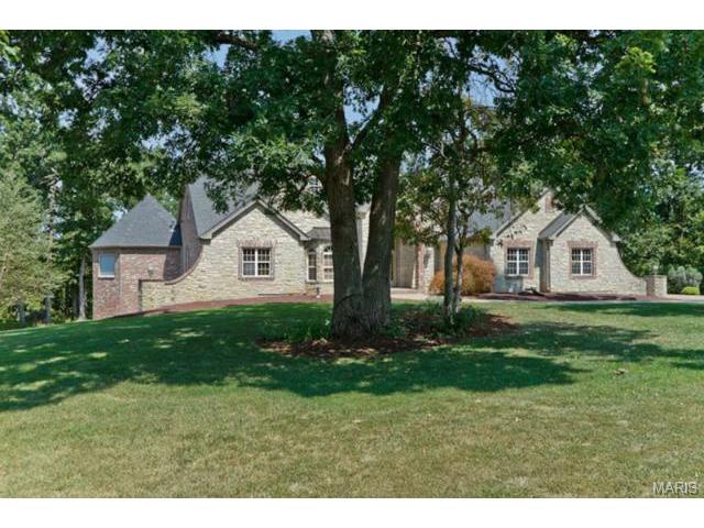 110 Plackemeier Dr, O'fallon, MO 63366 photo 49