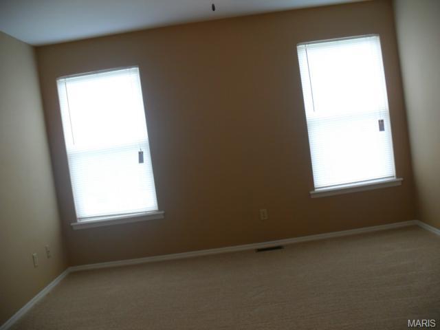 6 Glenmill Ct, O'fallon, MO 63366 photo 33