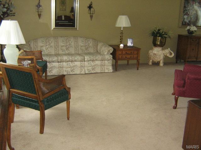 10 Cedar Glen Ct, Weldon Spring, MO 63304 photo 9