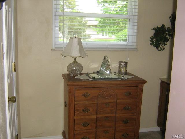 10 Cedar Glen Ct, Weldon Spring, MO 63304 photo 26