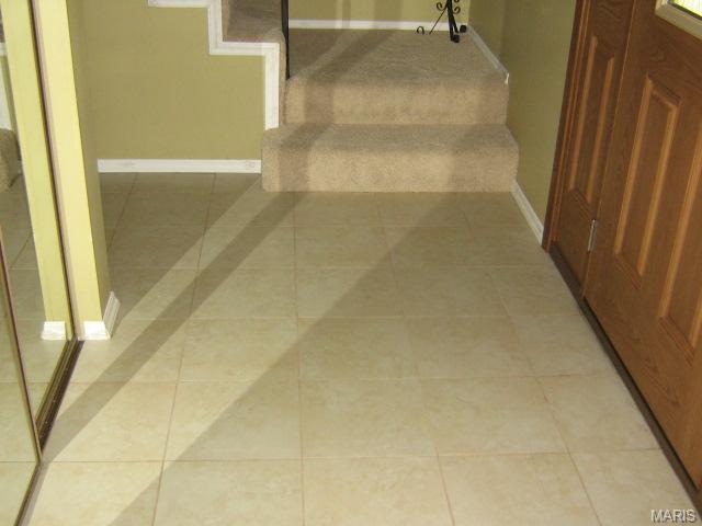 10 Cedar Glen Ct, Weldon Spring, MO 63304 photo 8