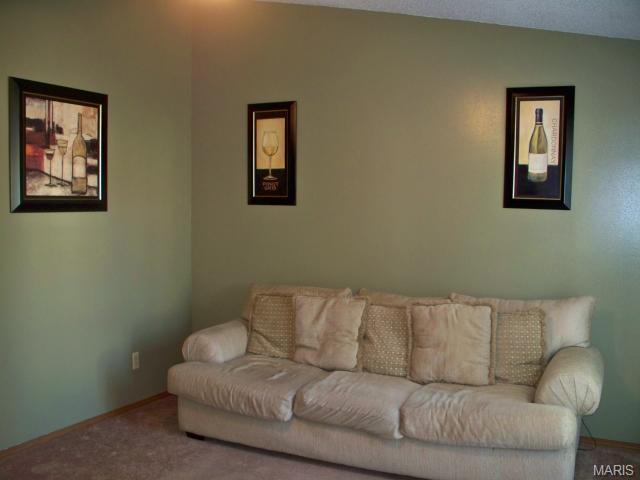 2419 Amarillo Dr, O'fallon, MO 63368 photo 9