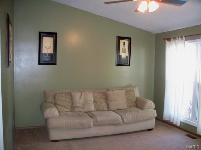 2419 Amarillo Dr, O'fallon, MO 63368 photo 8