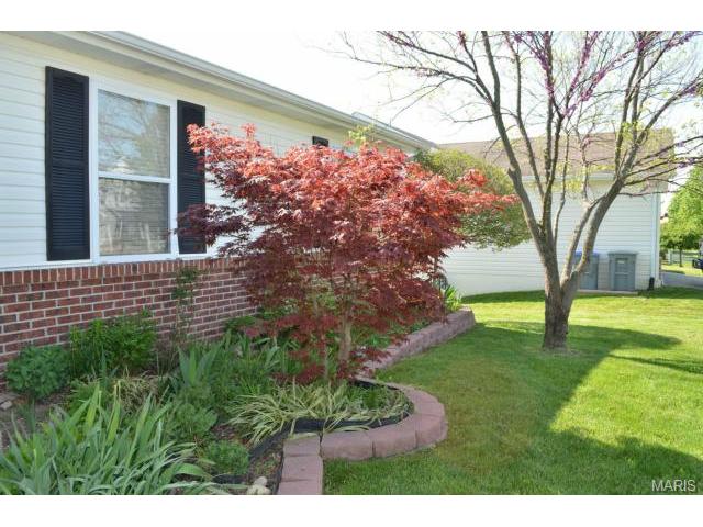 7559 Cinnamon Teal Dr, O'fallon, MO 63368 photo 2