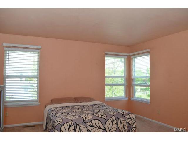 15 Old Glory Ct, O'fallon, MO 63366 photo 13