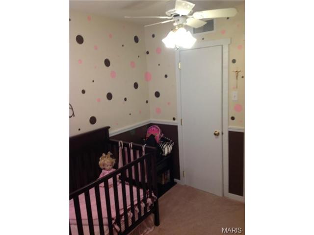 905 Taylor Pl, O'fallon, MO 63366 photo 39