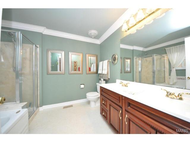 203 Surrey Ct, O'fallon, MO 63366 photo 12