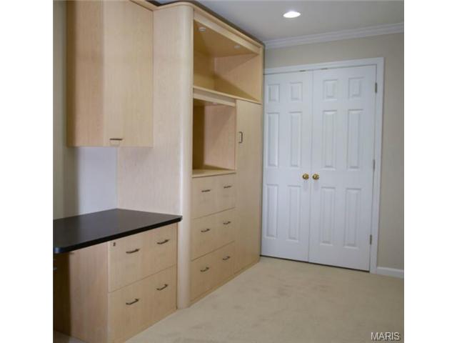 16632 Kehrsgrove Dr, Chesterfield, MO 63005 photo 16