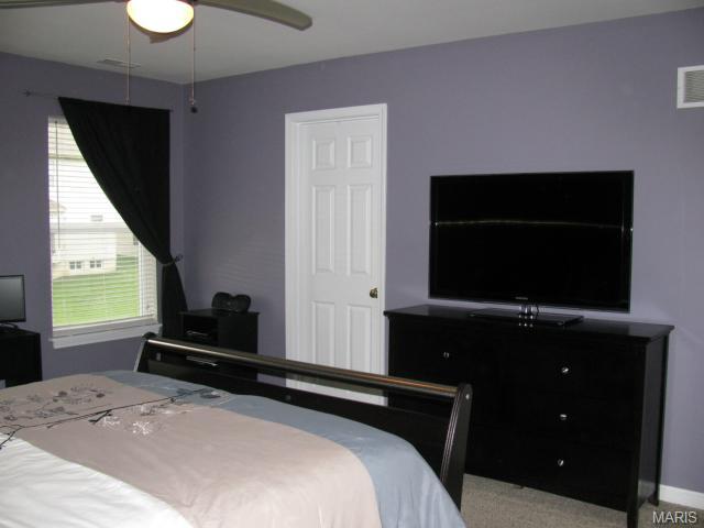 307 Wild Oak Dr, O'fallon, MO 63368 photo 12