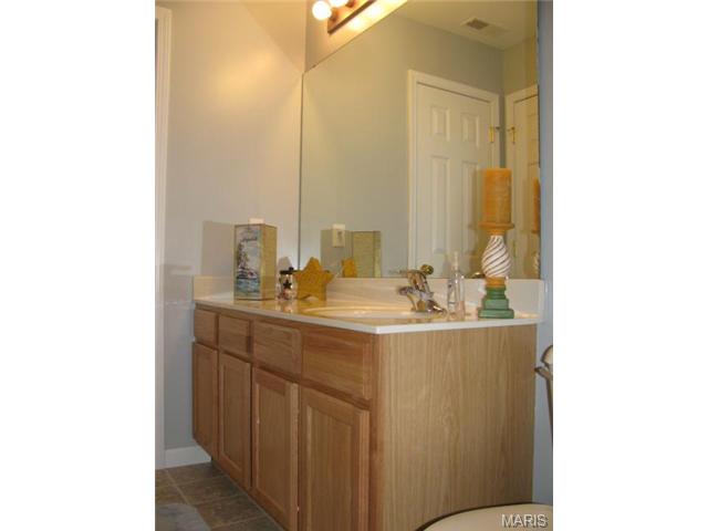 307 Wild Oak Dr, O'fallon, MO 63368 photo 18