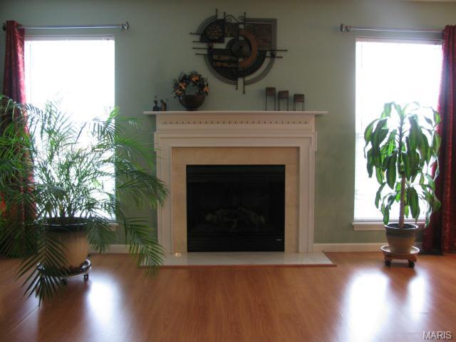 307 Wild Oak Dr, O'fallon, MO 63368 photo 5