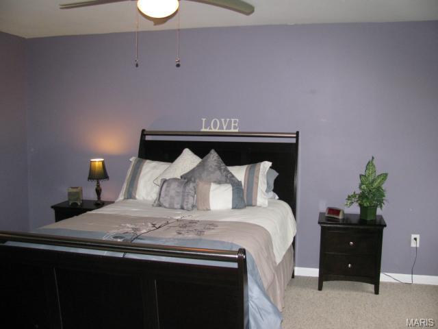 307 Wild Oak Dr, O'fallon, MO 63368 photo 11