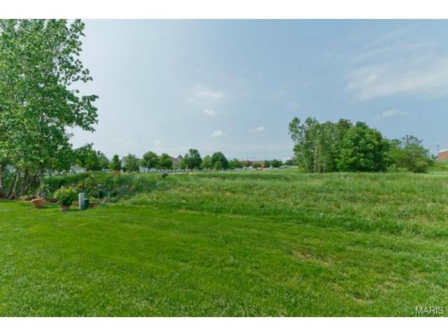 605 Hawk Run Dr, O'fallon, MO 63368 photo 52