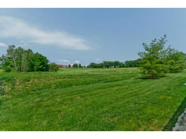 605 Hawk Run Dr, O'fallon, MO 63368 photo 47
