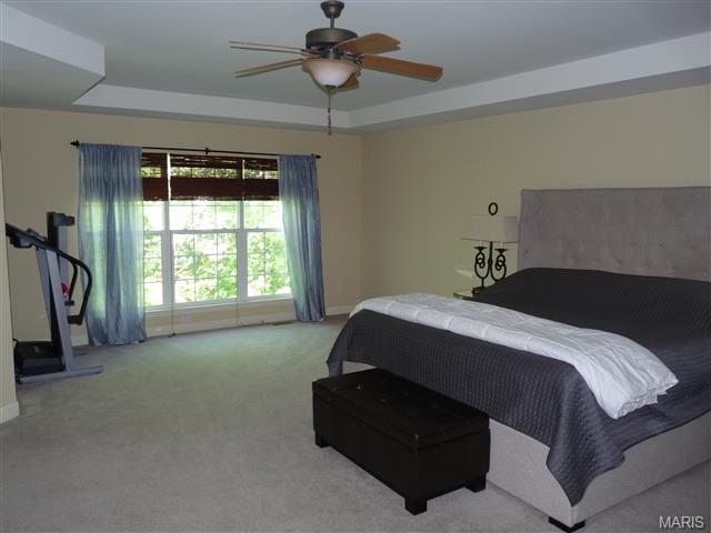 201 Centennial Dr, O'fallon, MO 63368 photo 27