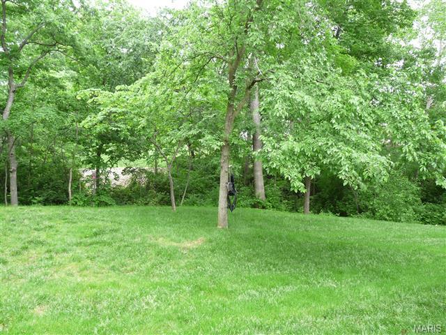 201 Centennial Dr, O'fallon, MO 63368 photo 44