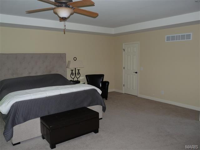 201 Centennial Dr, O'fallon, MO 63368 photo 28