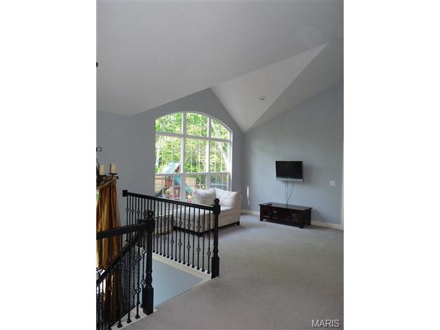 201 Centennial Dr, O'fallon, MO 63368 photo 22