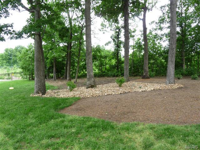 201 Centennial Dr, O'fallon, MO 63368 photo 52