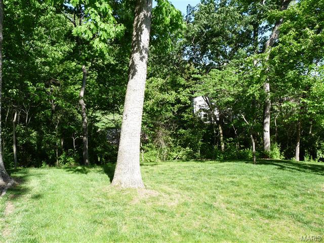 201 Centennial Dr, O'fallon, MO 63368 photo 49