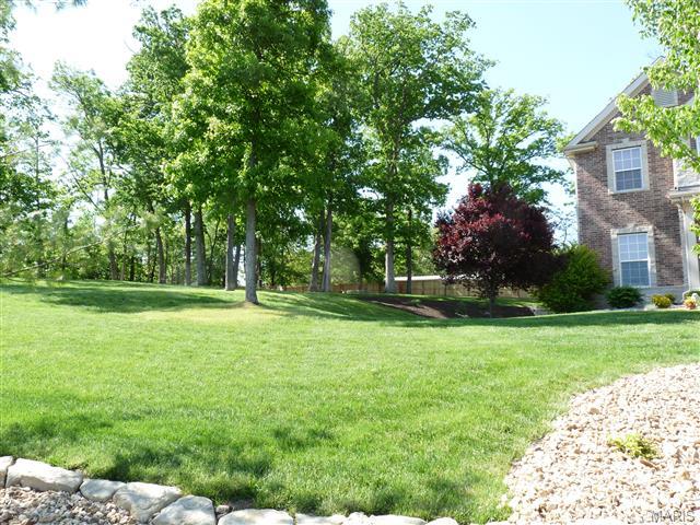 201 Centennial Dr, O'fallon, MO 63368 photo 64