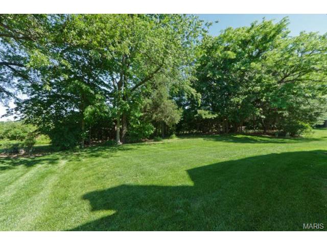 927 Hemingway, Weldon Spring, MO 63304 photo 44