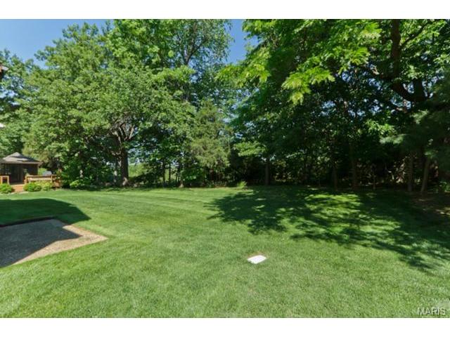 927 Hemingway, Weldon Spring, MO 63304 photo 48