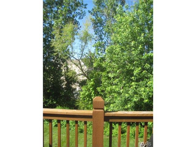 2711 Carters Grv, O'fallon, MO 63368 photo 35