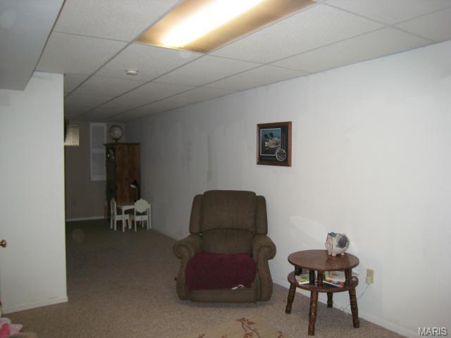 12 Redhead, O'fallon, MO 63368 photo 18