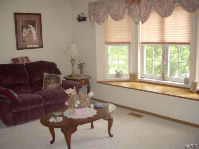 19 Chip Dr, O'fallon, MO 63366 photo 6