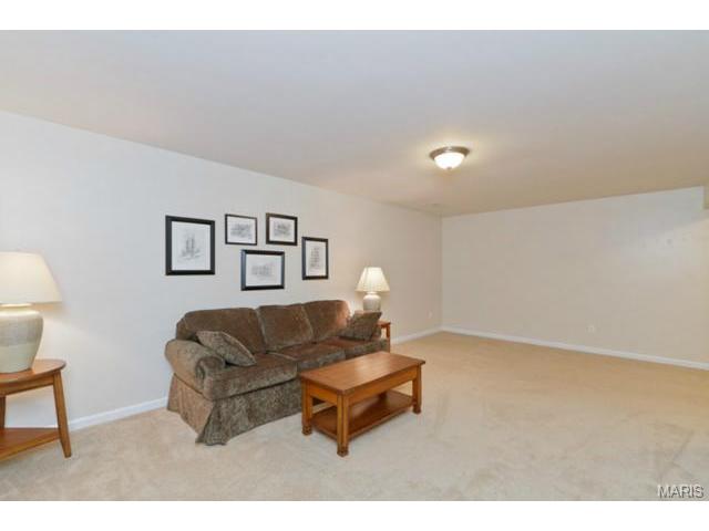107 Hawks Haven Dr, O'fallon, MO 63368 photo 38