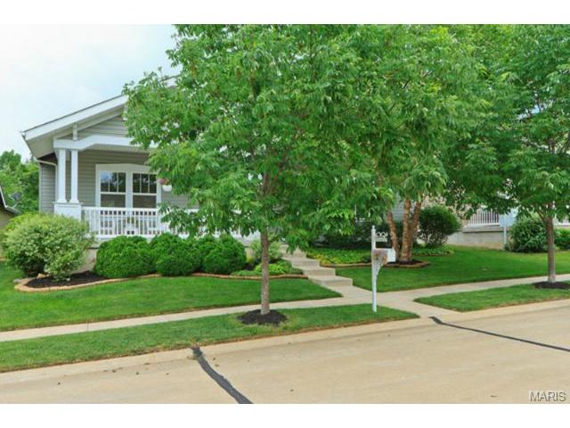 107 Hawks Haven Dr, O'fallon, MO 63368 photo 48