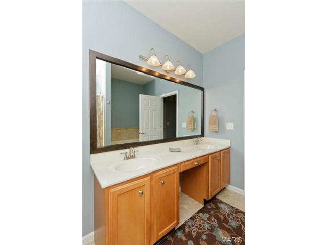 107 Hawks Haven Dr, O'fallon, MO 63368 photo 28